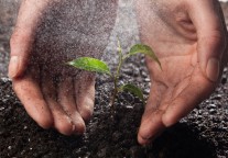 陕西省贯彻落实服务业领域困难行业纾困政策