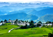 雅阁酒店集团|乘高铁去贵州，看万亩樱花之乡