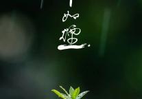 雅阁酒店集团|雅阁璞邸酒店四月时令菜式上新