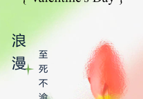 雅阁酒店集团|泰合卓凡雅阁酒店，浪漫情人节~