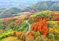 【喜迎二十大 建功新时代】萍乡武功山景区打造全域旅游助乡村振兴“新样板”