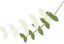 雅阁酒店集团|泰合卓凡雅阁酒店，夏季时令野菜上新