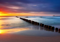 匈牙利、柬埔寨、印度逐步放宽入境限制，游客未来入境游或将自由