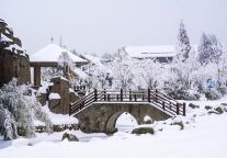 冬至：来明月山奔赴一场雪的快乐！