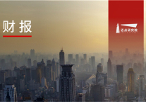 2021年国内外酒店集团财务分析报告