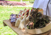 雅阁酒店集团|野鲜嫩春食记，尽在大理悦云雅阁度假酒店