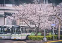 格林豪泰酒店，期待您来春游魔都