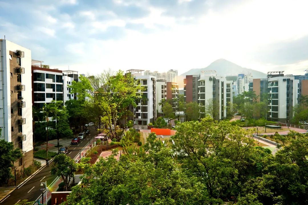 凡尔赛文学壹间公寓租房指南，GET！