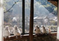 脆弱的酒旅业VS死扛的酒旅人：盼等一场翻身仗