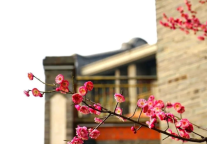 雅阁酒店集团|雅阁璞邸酒店满庭芳·湖鲜美食节共赴春色