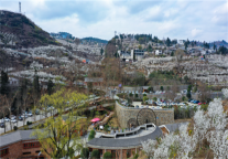 雅阁酒店集团|“洞天福地·花海毕节”樱桃花果季