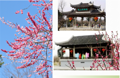 微信截图_20220311135403.png