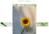 雅阁酒店集团|暑期专属，遇见莲花山盛夏光年