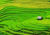 杭州制定非遗特色酒店和民宿评价标准