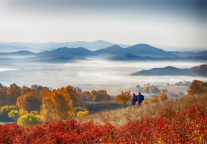 神奇的自然景观环绕，这家贝壳酒店成全您的奇妙之旅