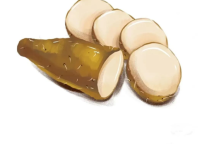 雅阁酒店集团|广州莲花山雅阁璞邸酒店，夏日八月菜单上新