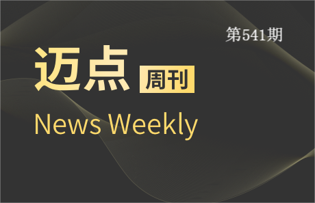 迈点周刊541期