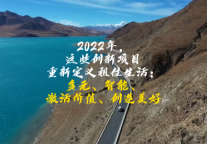 2022年公寓创新项目集锦第二期