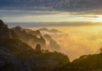 领略小城特色,下榻格林东方酒店阜阳颍东区涡阳南路店