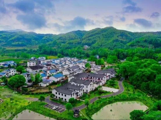 1654067355370352.jpg 图片