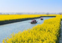 格雅酒店约您看一场“花花”世界