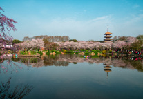 郑州6大文旅项目入选2025年河南重点建设项目名单