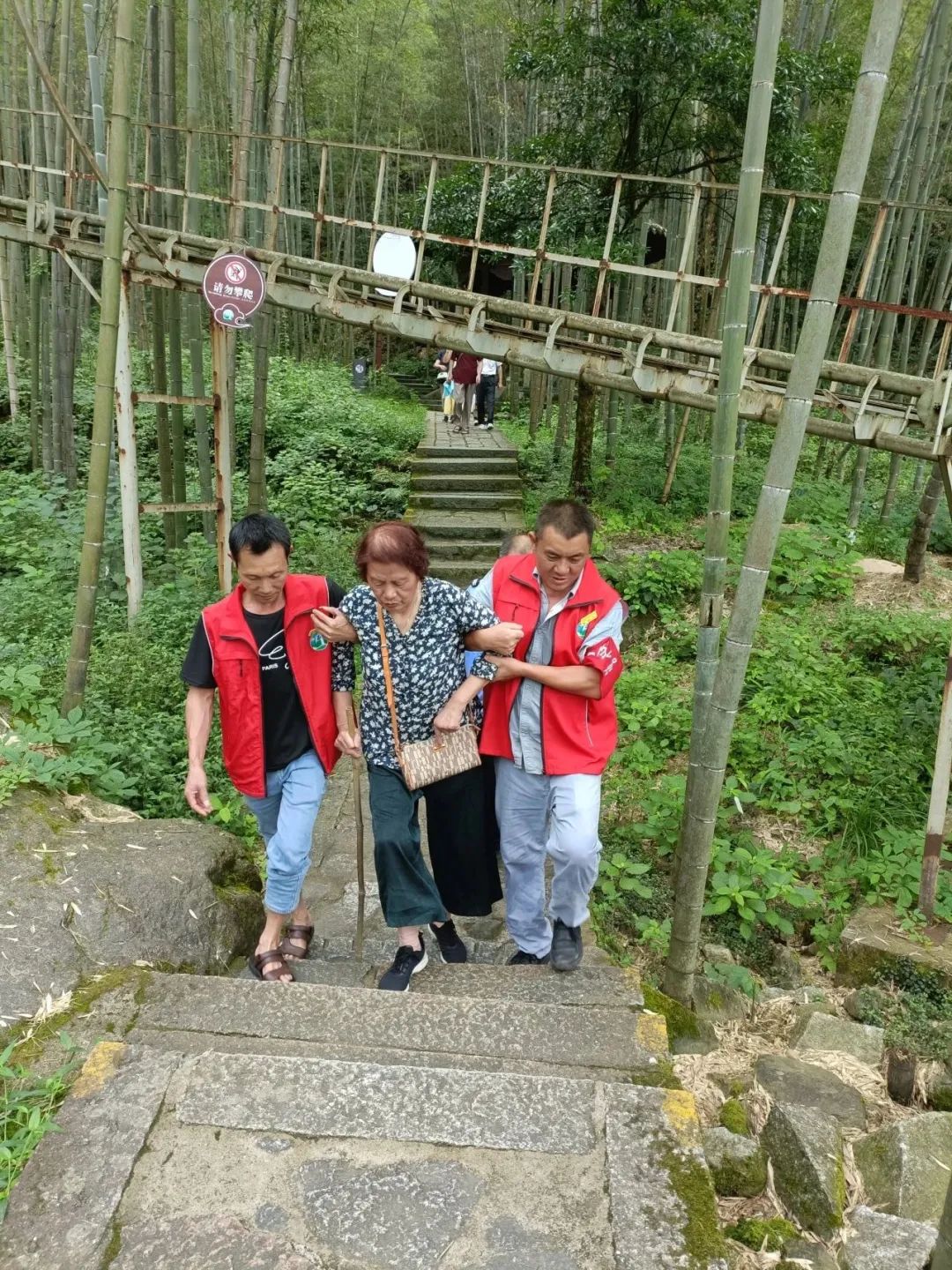 圖片