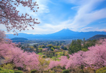 避暑游成夏季刚需，入境酒店热度同比增长超150%