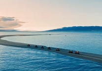 植此青绿 共树未来 我在青海边有棵树——省湖旅集团党委组织开展公益植树活动