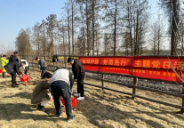 肥西文旅集团党支部联合开展“植绿护绿 党员先行”主题党日活动