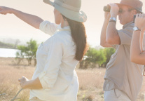 2025版电子导游证及导游身份标识卡6月30日启用