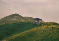 哈？这么快就到武功山的秋天啦？