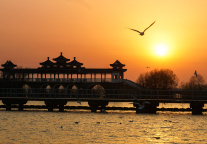 如何把阳光带回酒店？