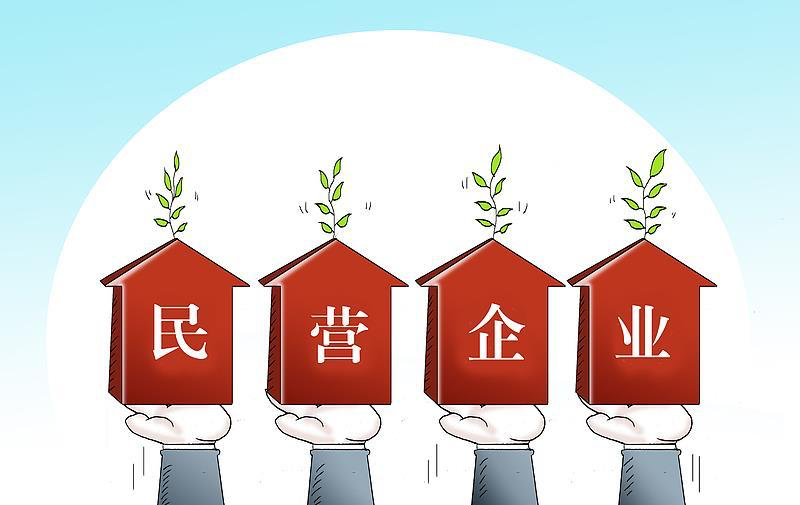 春秋航空王煜：法治是民营企业发展壮大“最硬核”的底气