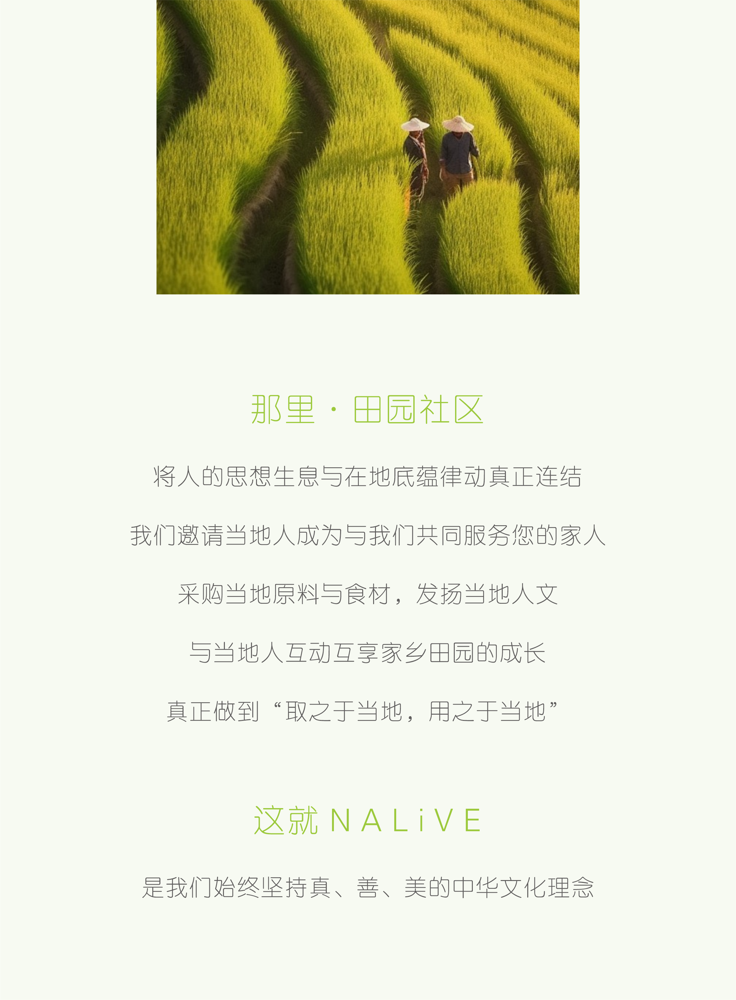 18.png