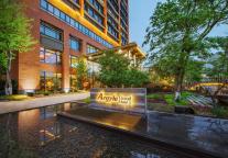 雅阁酒店集团|安吉青年音乐节，夏日精彩不停