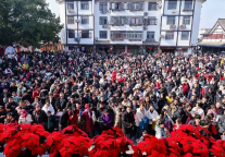 圆满收官！2025年肥西文旅集团春节假期旅游情况综述