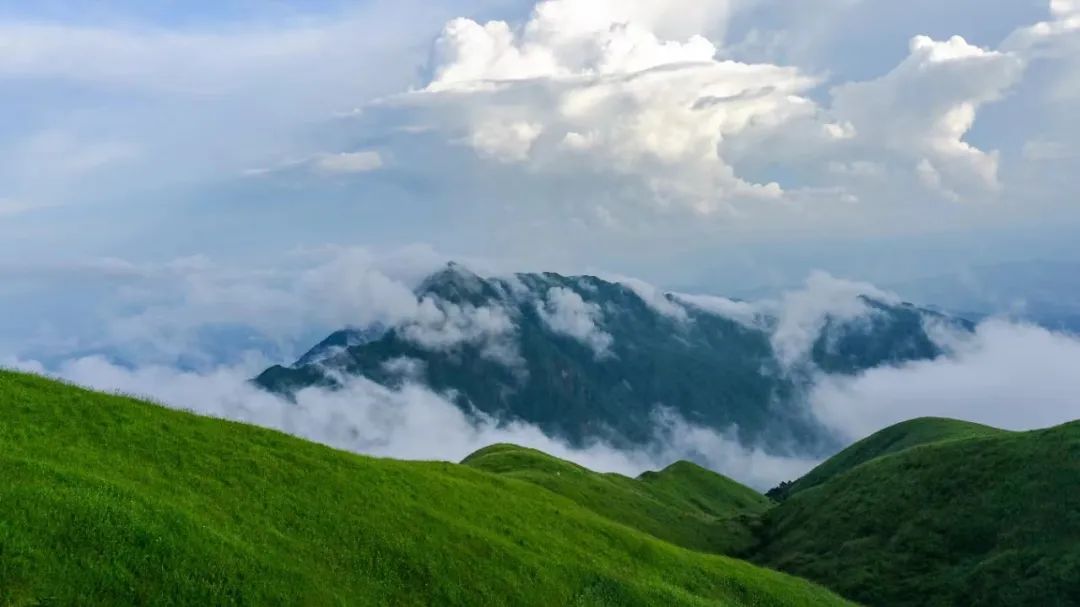 近期高发！武功山景区超级云海营业啦