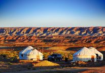 哈尔滨火了，新疆也“红”了