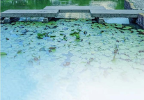 杭州黄龙饭店邀您来杭遛娃避暑