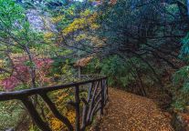 超绝云海，超绝仙境再