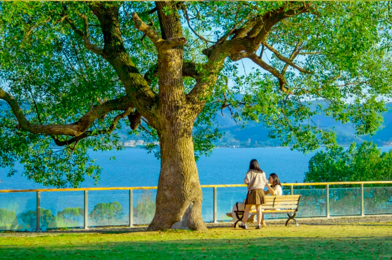 截屏2023-12-06 09.42.26.png