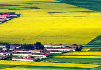 武汉蔡甸张湾6个农文旅项目集中签约，总投资3亿元