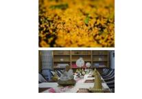 雅阁酒店集团|金秋“蟹”礼！席卷你蠢蠢欲动的味蕾