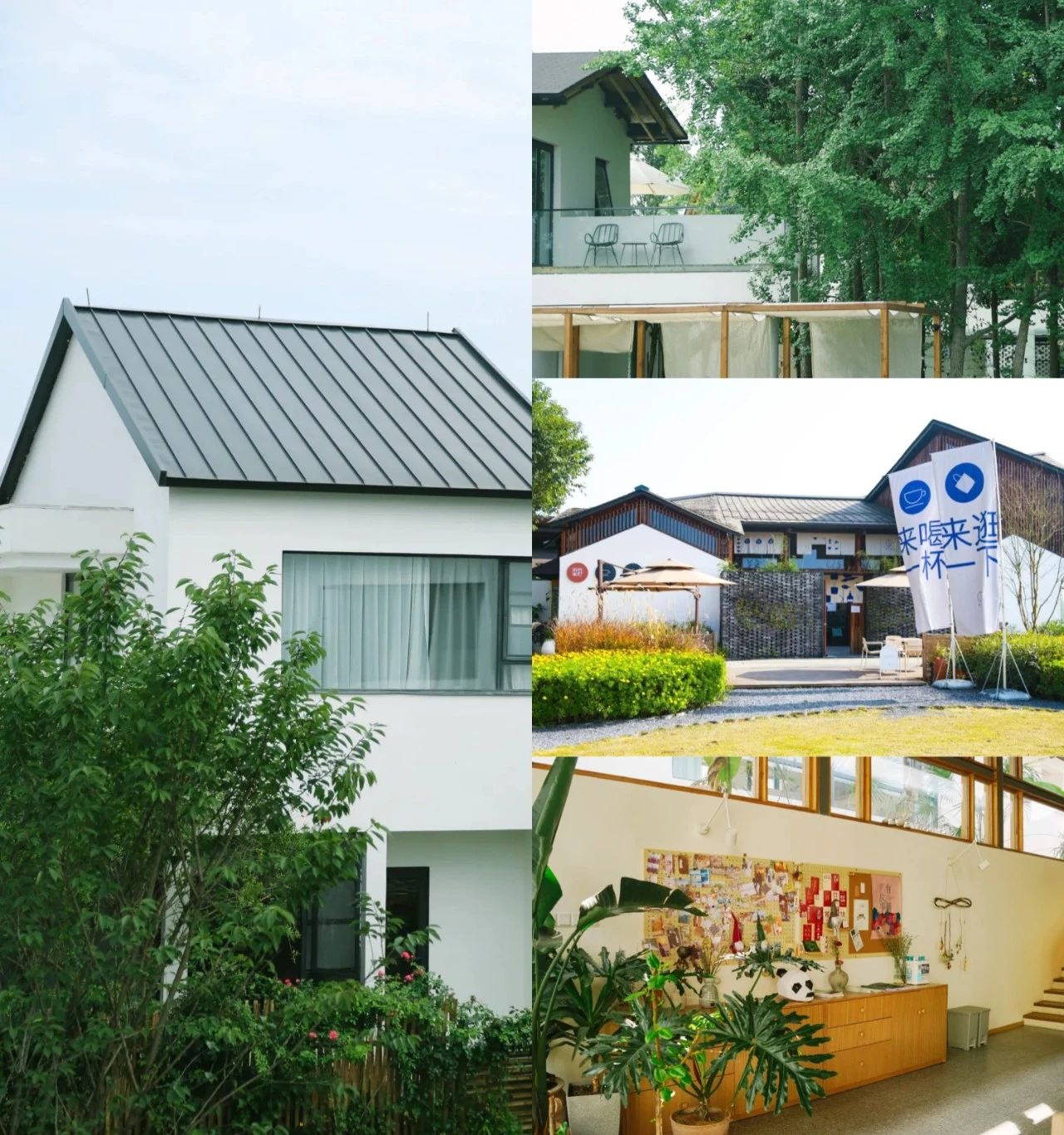 初秋的安仁，独one无two