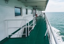 粤港澳大湾区水上航线迎来出行高峰