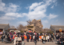 洪洞大槐树景区龙年新春好戏连台 演出不断 精彩不停