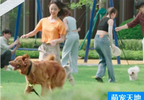 在方隅，满足你对理想生活的所有需求