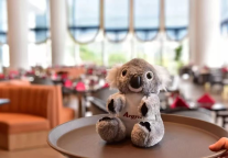 雅阁酒店集团|萌趣出道，雅阁酒店吉祥物IP咔哇熊