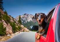 OTA巨头Expedia着眼于人工智能实现未来旅游创新